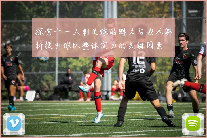 探索十一人制足球的魅力与战术解析提升球队整体实力的关键因素